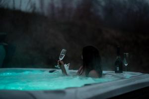 Hosté ubytování Na Kopečku AD 1795 - penzion s restaurací a wellness v Podkrkonoší