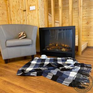 a living room with a chair and a fireplace at Green Village in Mikolaivka