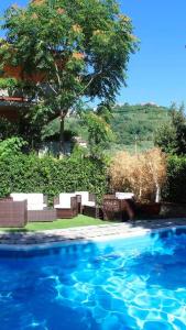 a pool of water with benches and a tree at Hotel PRime - Montecatini in Montecatini Terme
