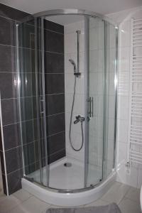 a shower with a glass door in a bathroom at Malina in Vransko