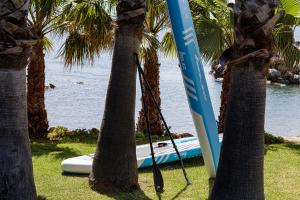a surfboard sitting on the grass next to palm trees at Villa Lygia in Petres