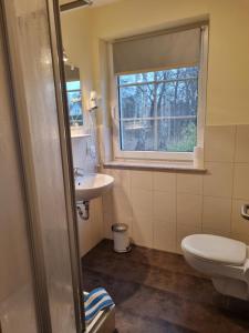 a bathroom with a toilet and a sink and a window at Spreewälder Feriendomizil/Pension in Burg +37 photos