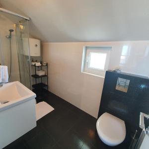 a bathroom with a white toilet and a sink at Apartments Marti in Murter
