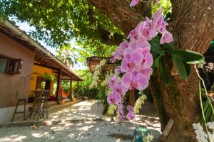 インバサイにあるCasa Raízes Imbassaiの木に垂れるピンクの花束