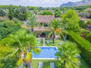 an aerial view of a house with a swimming pool and palm trees at Villa Olivers Vera in Alcudia