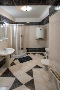 een badkamer met een douche, een wastafel en een toilet bij Penzion U Hejtmana in Klatovy