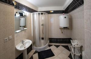 La salle de bains est pourvue d'une douche et d'un lavabo. dans l'établissement Penzion U Hejtmana, à Klatovy