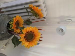 Kúpeľňa v ubytovaní Shelisa B&B + 17 fotografií