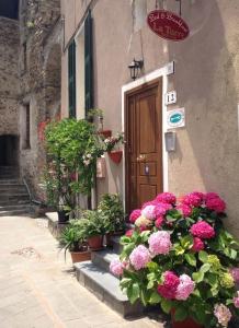 kilka kwiatów przed budynkiem w obiekcie La Torre w mieście Isolabona