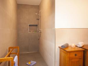 a shower with a glass door in a bathroom at Ferienwohnung Mertens Selkentrop in Schmallenberg
