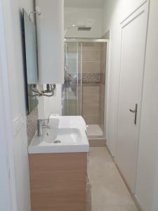 Un baño con lavabo blanco y ducha. en T2 au centre de Saint-Palais-Sur-Mer, en Saint-Palais-sur-Mer 10 fotos más
