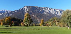 a golf course with a mountain in the background at Studio in Domat Ems in Ems