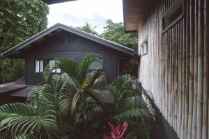 a plant in front of a black house at La Negra Surf Hotel in Nosara