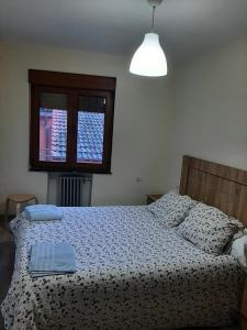 - une chambre avec un lit et une fenêtre dans l'établissement Piso amplio y reformado para grupos, à Felechosa