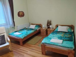 1 Schlafzimmer mit 2 Betten und einem Stuhl in der Unterkunft Hamvaskői Vadászház in Pilismarót