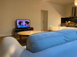 salon z niebieską kanapą i telewizorem w obiekcie L’Albuconis 5 logement entier w mieście Aubusson