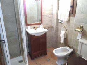 een badkamer met een wastafel, een toilet en een douche bij Casa Concha in Alcalá de la Selva