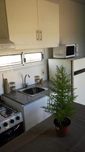 une cuisine avec une plante dans un pot à côté d'un évier dans l'établissement RenaPau, à La Paloma 21 autres photos