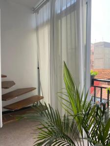 a patio with a white curtain and a plant at Amilcar Cabral Loft in Praia