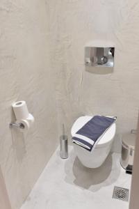 a bathroom with a toilet with a blue towel on it at Kameiros Treasure Villa in Kalavárda +20 photos