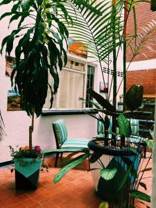 eine Terrasse mit Stühlen, Topfpflanzen und einem Fenster in der Unterkunft Refugio Llanero Hotel Boutique in Villavicencio