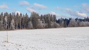 Belka am Rursee v zimě