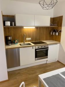 Kuchyňa alebo kuchynka v ubytovaní Appartement in Graz-Geidorf