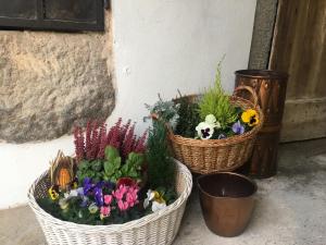 Fotografie z fotogalerie ubytování B&B La Corte del Segrino v destinaci Canzo