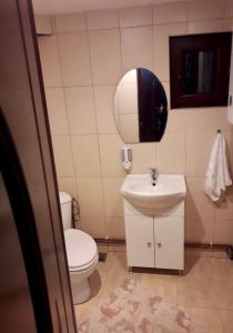 a bathroom with a toilet and a sink and a mirror at Deea Cascada in Vidra