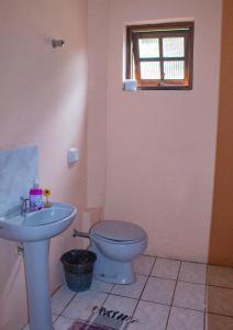 een badkamer met een toilet, een wastafel en een raam bij Apto Duplex confortável a apenas 2 km do Capivari in Campos do Jordão
