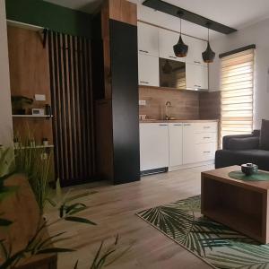 Dapur atau dapur kecil di Apartmani PART