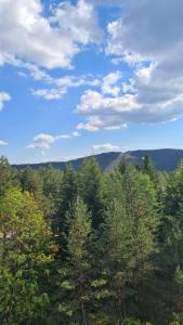 an overhead view of a forest of trees at Apartman Maslacak in Divčibare