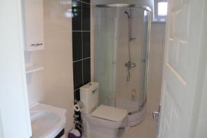 a bathroom with a shower and a toilet and a sink at Karaagac Green Edirne in Edirne
