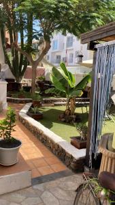A garden outside Corralejo Garden&Relax