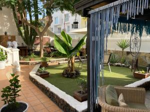 A garden outside Corralejo Garden&Relax
