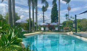 uma piscina com palmeiras e guarda-sóis em The Esplanade Motel em Warners Bay
