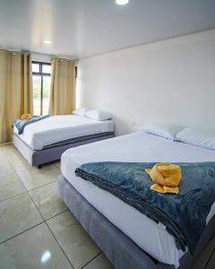 twee bedden in een hotelkamer met een teddybeer erop bij Hostel Cattleya - Monteverde, Costa Rica in Monteverde Costa Rica