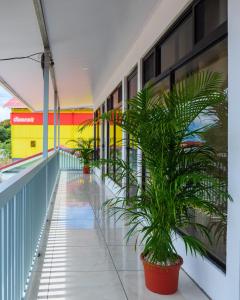 Bazén v ubytování Hostel Cattleya - Monteverde, Costa Rica nebo v jeho okolí