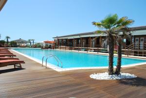 a swimming pool with a palm tree next to a building at Beach House,Giardino,Piscina,Spiaggia, 6 posti in Viareggio
