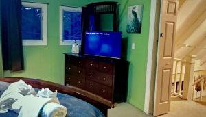 Chalet Gallery - Enjoy Two Units with this Chalet in the Heart of Alyeska - Walk almost anywhere!的电视和/或娱乐中心