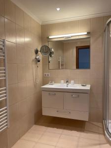 a bathroom with a sink and a shower and a mirror at W6 Haus Ganghofer in Leutasch