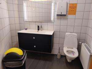 ein Badezimmer mit Waschbecken und Toilette in der Unterkunft SM Hostel in Reykjavík + 13 Fotos