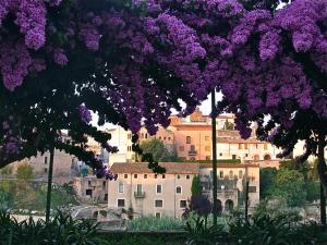 Zdjęcie z galerii obiektu Hotel rural HD Riudebitlles art i allotjament w mieście San Pedro de Riudevitlles