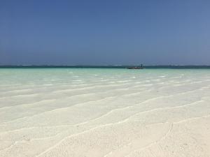 Gallery image of Eleven Pearl Boutique Hotel & Spa in Diani Beach