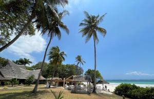 een strand met palmbomen en een gebouw en de oceaan bij Eleven Pearl Boutique Hotel & Spa in Diani Beach