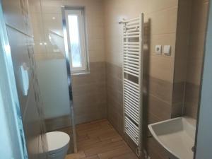 a bathroom with a toilet and a shower and a sink at Chata pod lesem in Rýmařov +26 photos