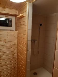a bathroom with a shower with a glass door at Chata pod lesem in Rýmařov