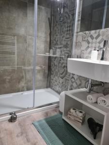 y baño con ducha, aseo y lavamanos. en PincoPancoRooms, en Acquasanta Terme
