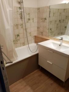 ein Bad mit einer Badewanne, einem Waschbecken und einer Dusche in der Unterkunft Residence Pierre Aigue in Saint-Sorlin-dʼArves