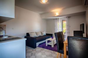 TV a/nebo společenská místnost v ubytování Apartments Dalia